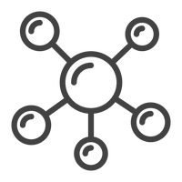 Professional Formula